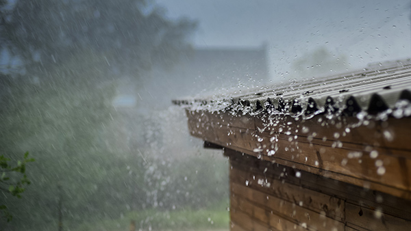 Huela hídrica. Agua verde